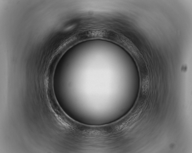 X0000100960722200807011332