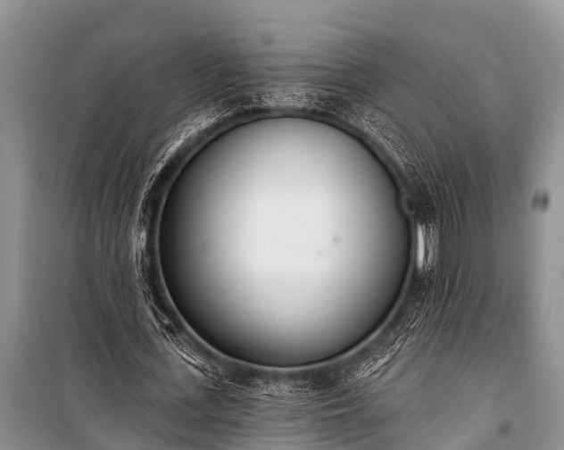 X0000100960723200807011332