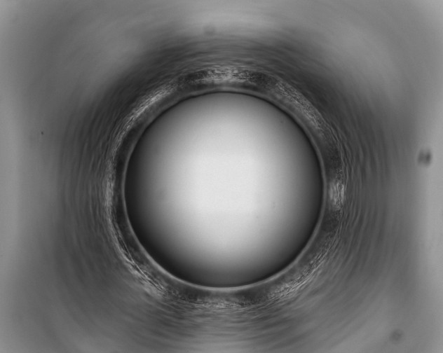 X0000100960724200807011332