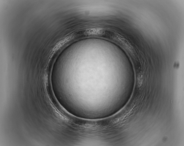 X0000100960725200807011332