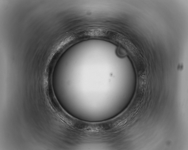 X0000100960727200807011332