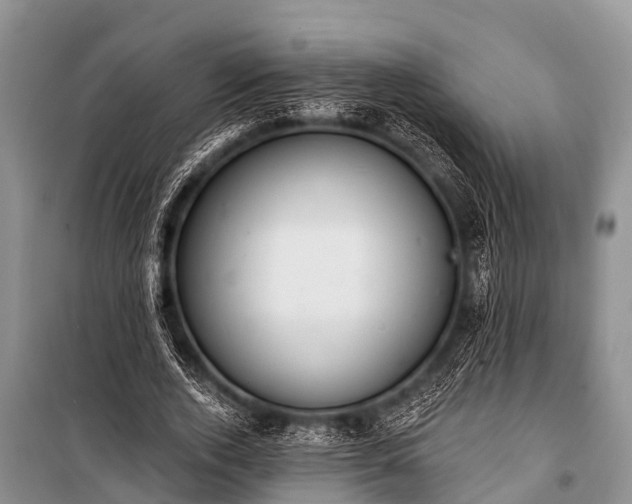 X0000100960728200807011332