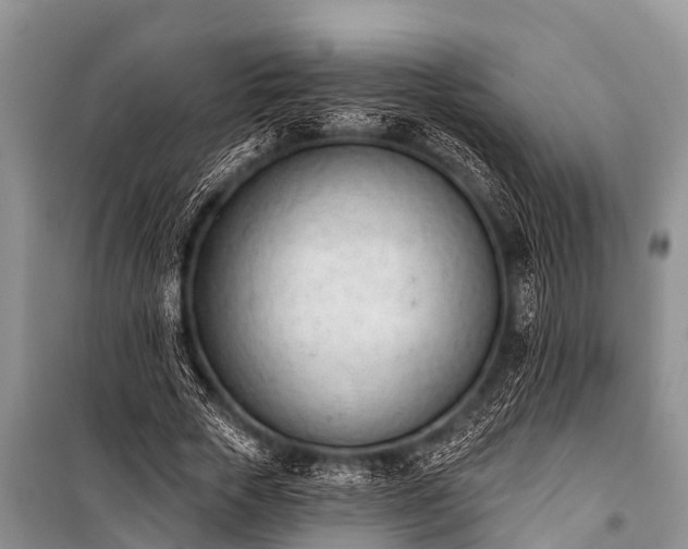 X0000100960729200807011332