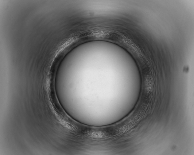 X0000100960730200807011332