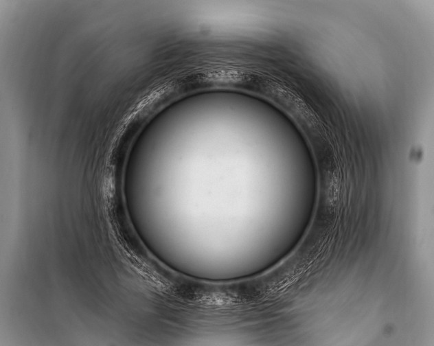 X0000100960731200807011332