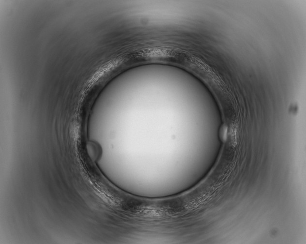 X0000100960732200807011332