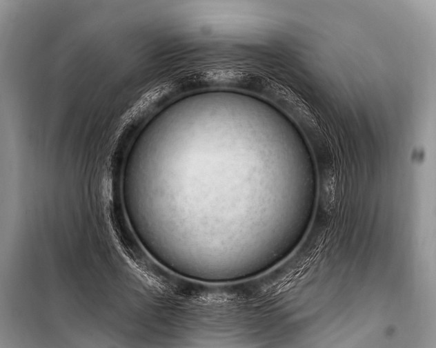 X0000100960734200807011332