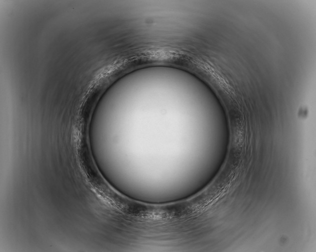 X0000100960736200807011332