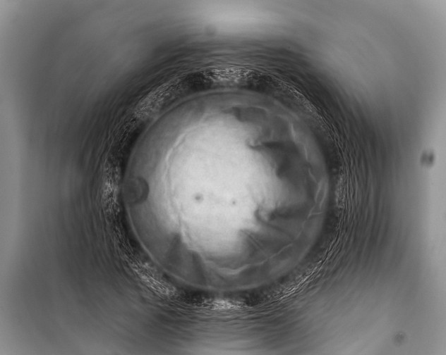 X0000100960737200807011332
