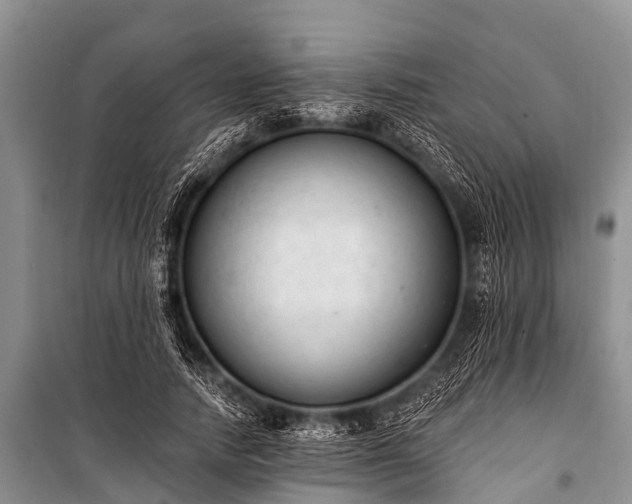 X0000100960738200807011332