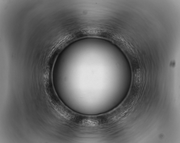 X0000100960739200807011332