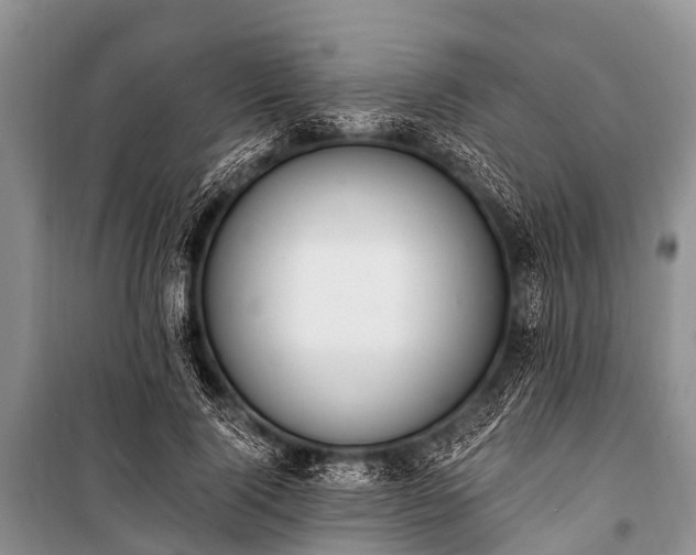 X0000100960740200807011332