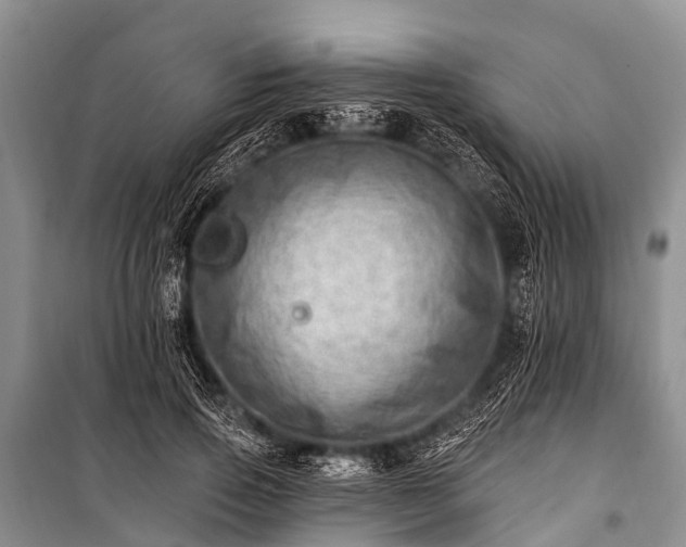 X0000100960741200807011332