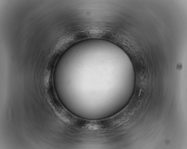 X0000100960742200807011332