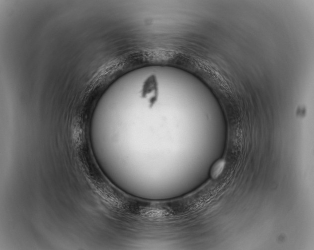 X0000100960743200807011332