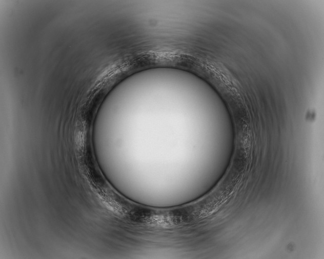 X0000100960744200807011332