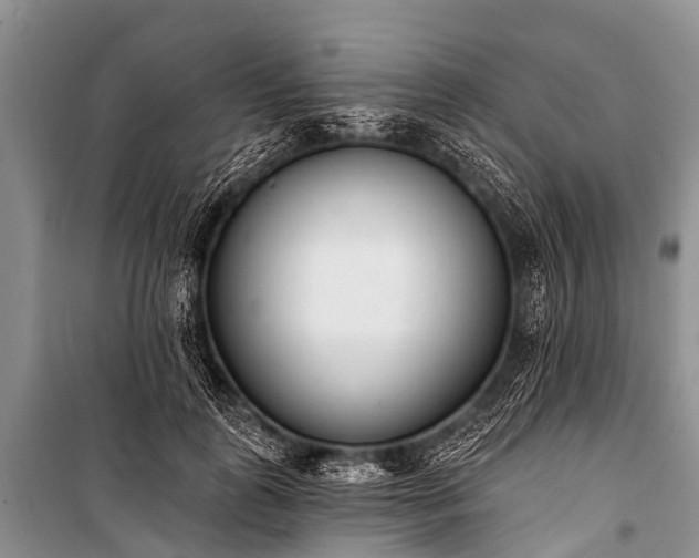 X0000100960747200807011332