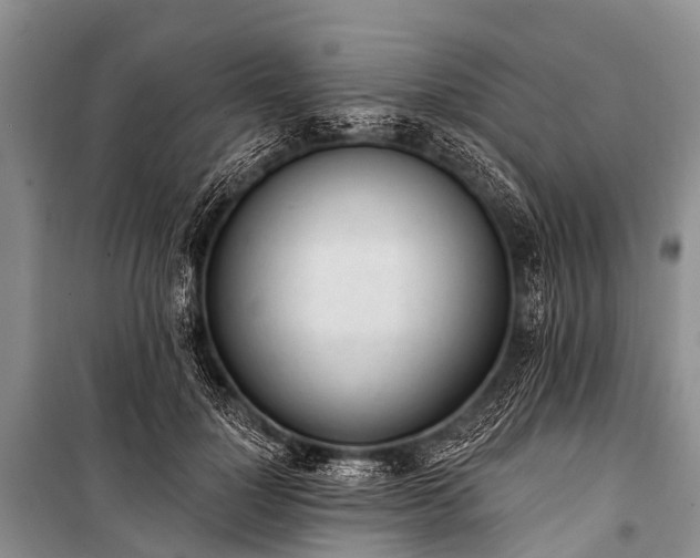 X0000100960748200807011332