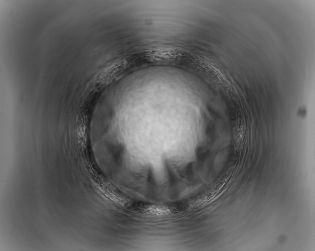 X0000100960749200807011332