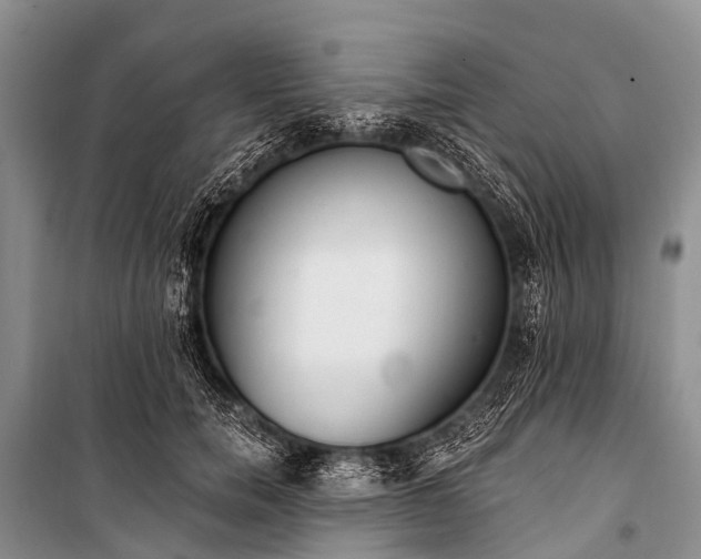 X0000100960750200807011332