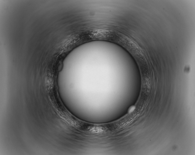 X0000100960751200807011332