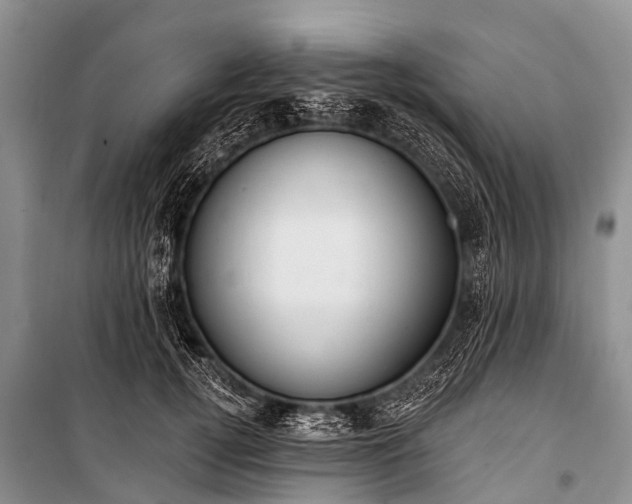 X0000100960752200807011332