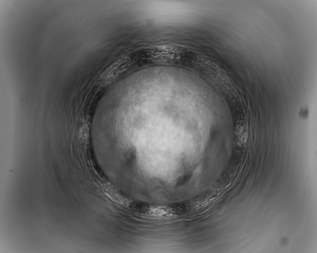 X0000100960753200807011332