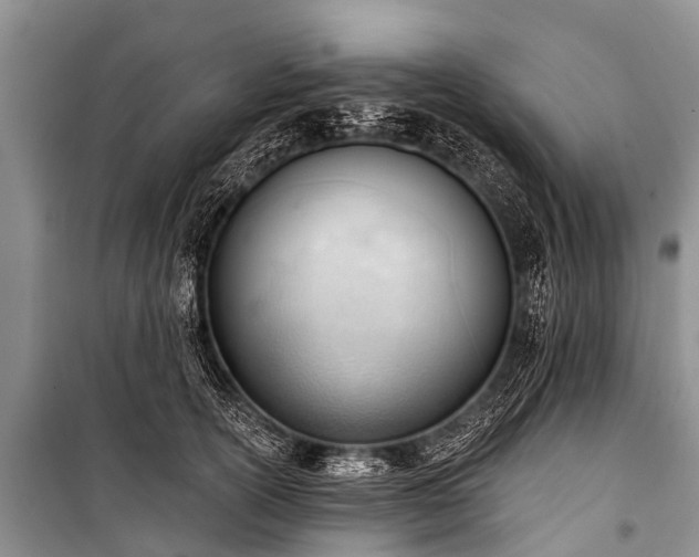 X0000100960754200807011332