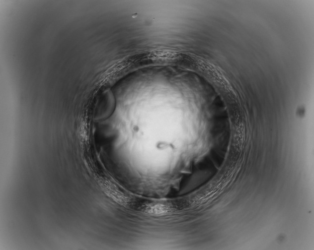 X0000100960755200807011332