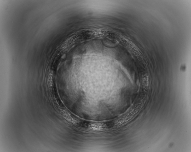 X0000100960757200807011332