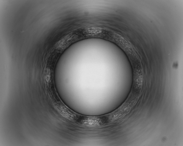X0000100960758200807011332