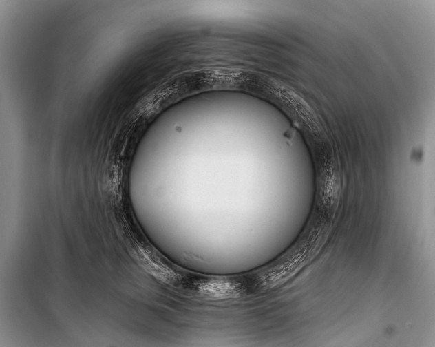 X0000100960759200807011332