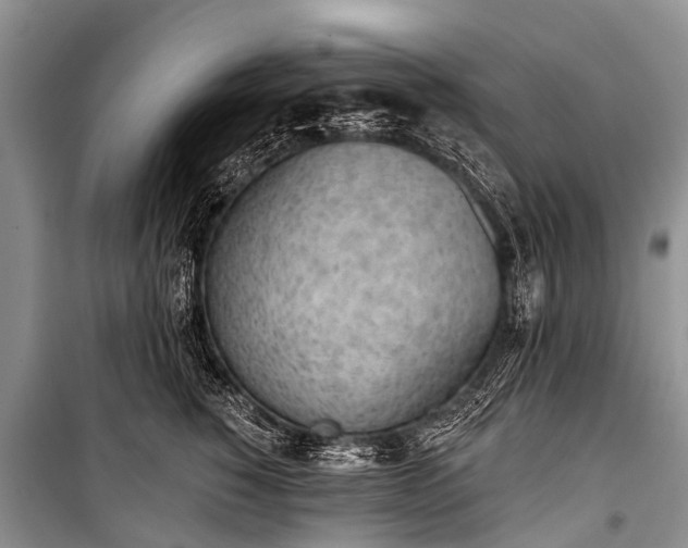X0000100960760200807011332
