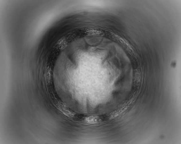 X0000100960761200807011332