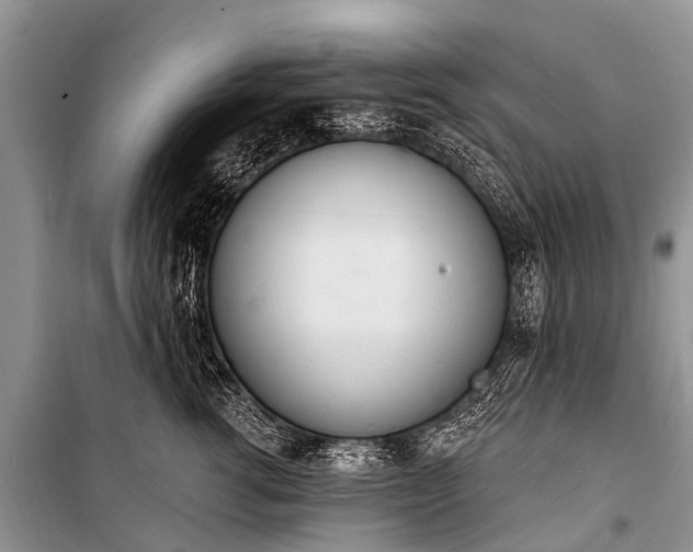 X0000100960762200807011332