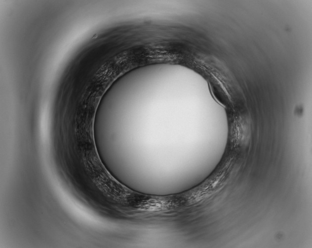 X0000100960764200807011332
