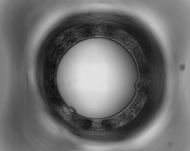 X0000100960766200807011332