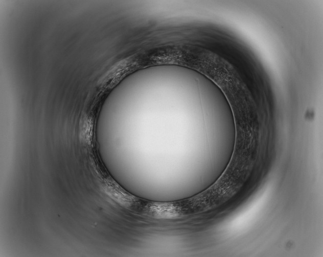X0000100960767200807011332
