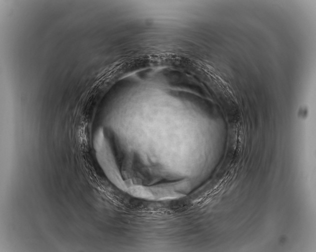 X0000100960770200807011332