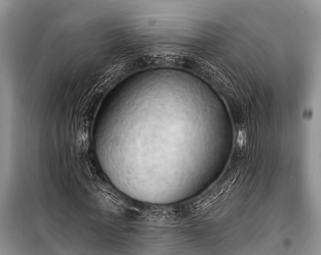 X0000100960771200807011332