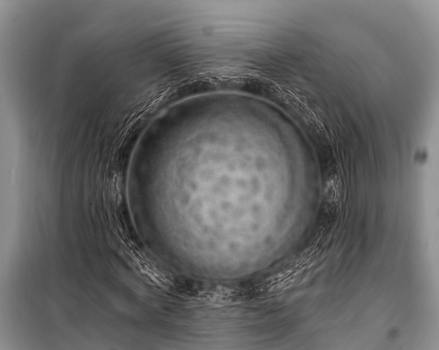 X0000100960772200807011332