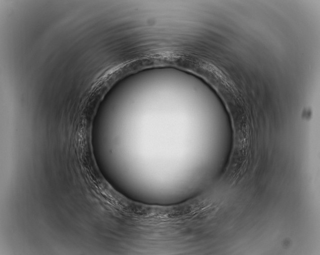X0000100960773200807011332