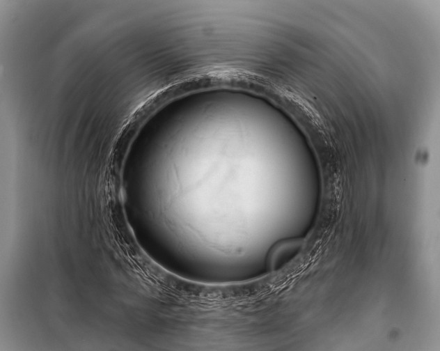 X0000100960776200807011332