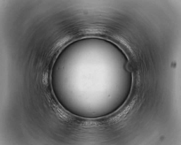 X0000100960777200807011332