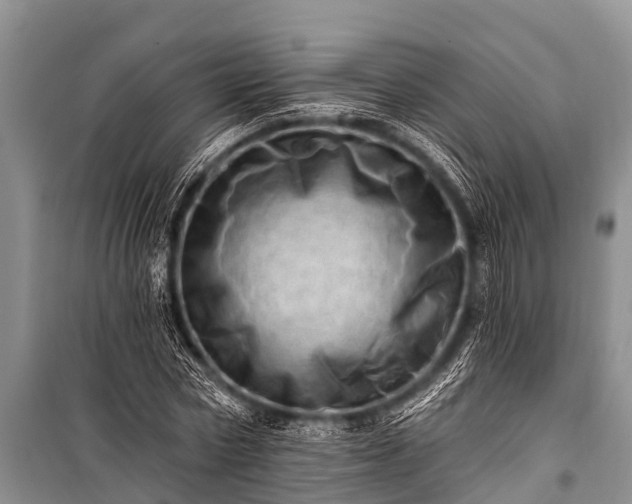 X0000100960778200807011332