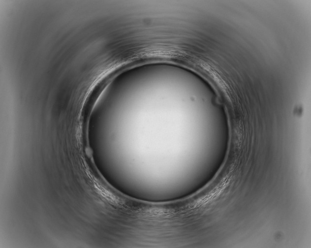 X0000100960779200807011332