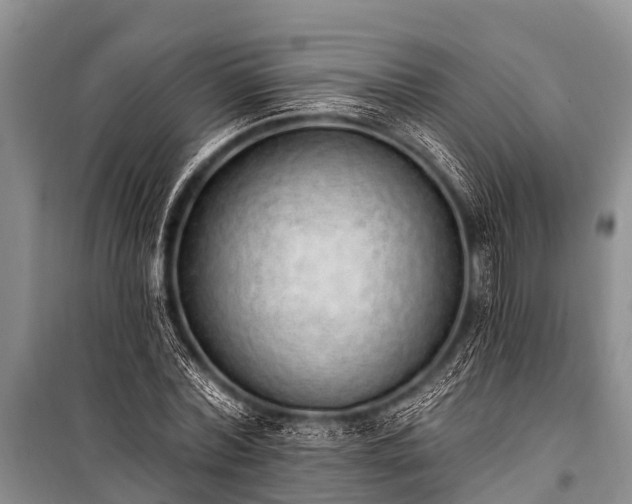 X0000100960780200807011332