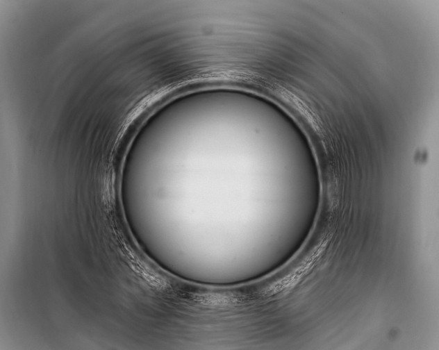X0000100960781200807011332