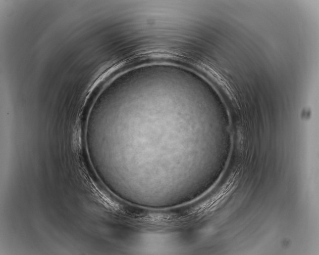X0000100960782200807011331