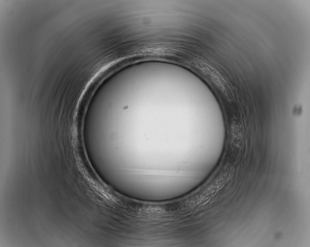 X0000100960784200807011331
